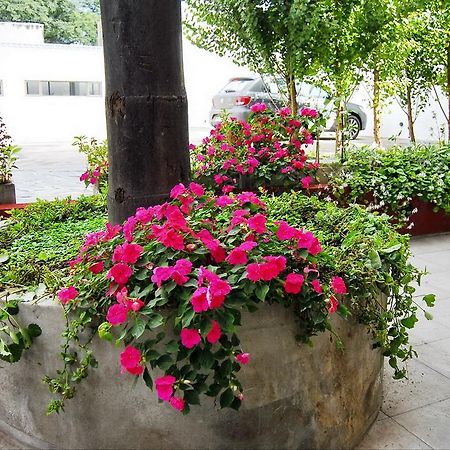 살타 Tramas Andinas 아파트 호텔 외부 사진